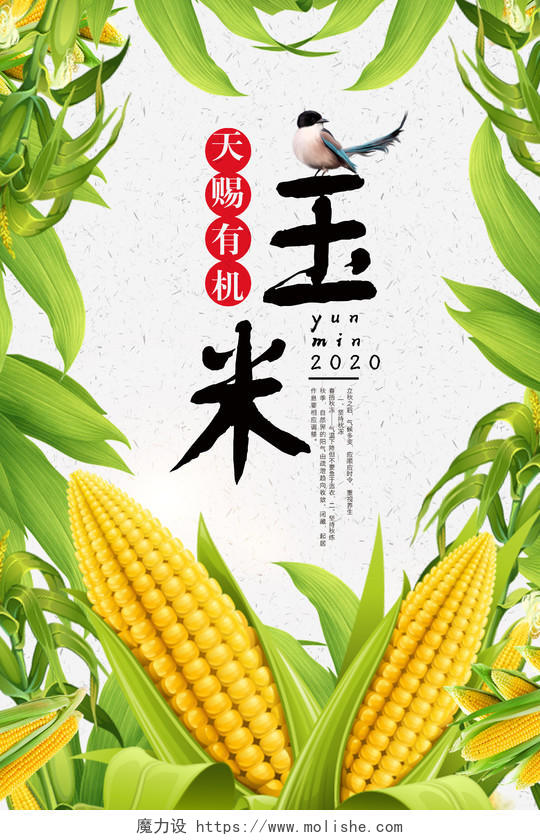 简约卡通农产品玉米玉米汁促销海报